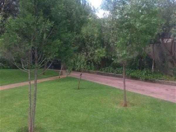 To Let 8 Bedroom Property for Rent in Melrose North Gauteng