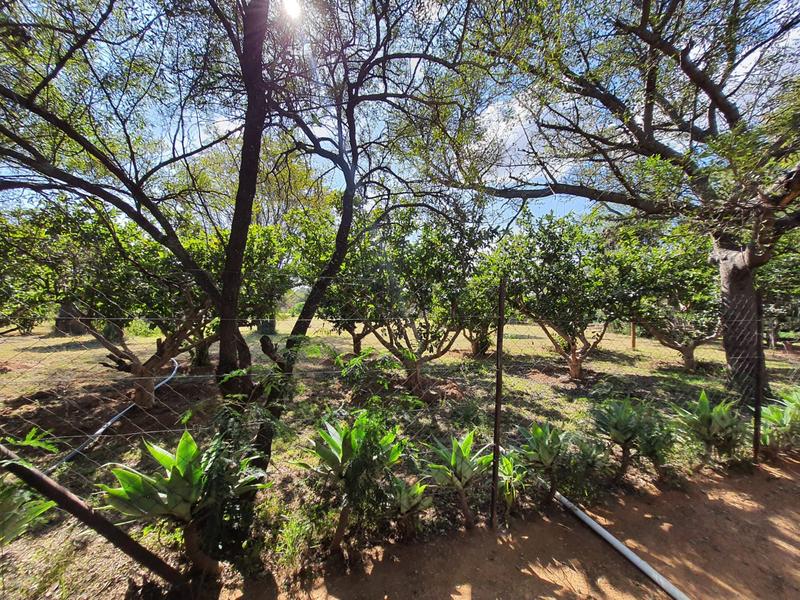 10 Bedroom Property for Sale in Bultfontein Gauteng