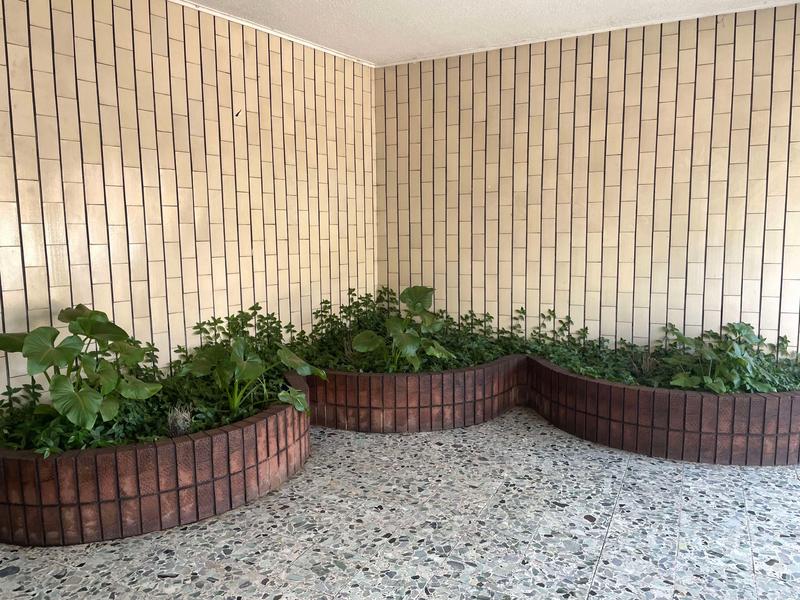 To Let 1 Bedroom Property for Rent in Yeoville Gauteng