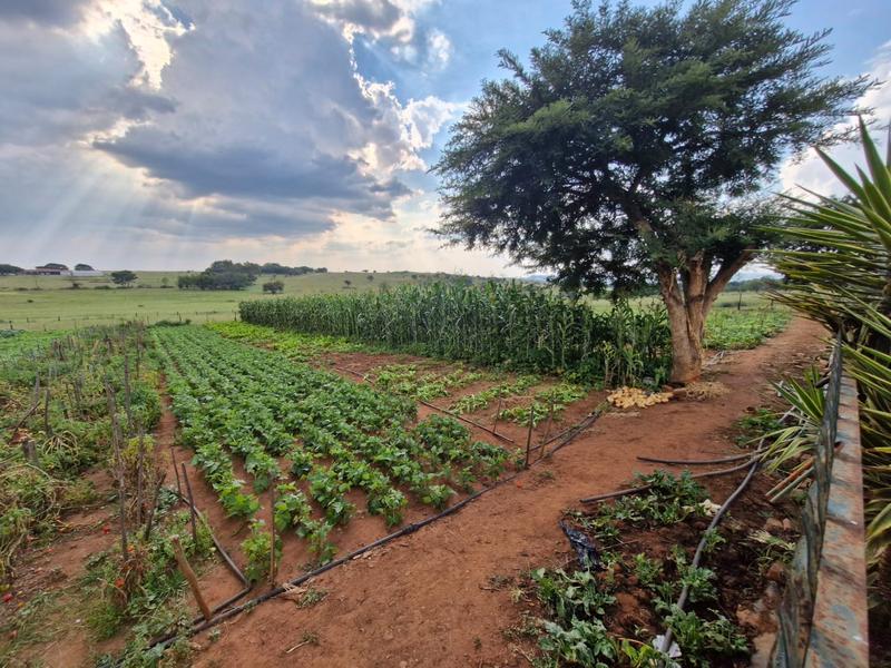 4 Bedroom Property for Sale in Mnandi Gauteng