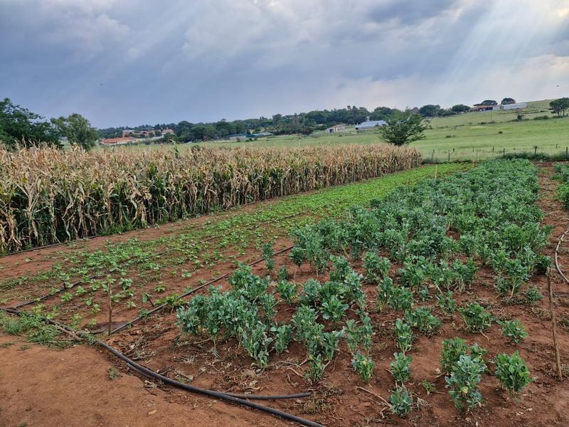 4 Bedroom Property for Sale in Mnandi Gauteng