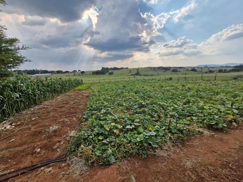 4 Bedroom Property for Sale in Mnandi Gauteng