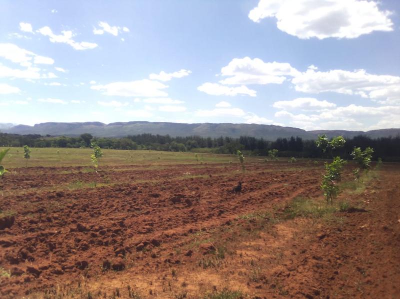 3 Bedroom Property for Sale in Hekpoort Gauteng