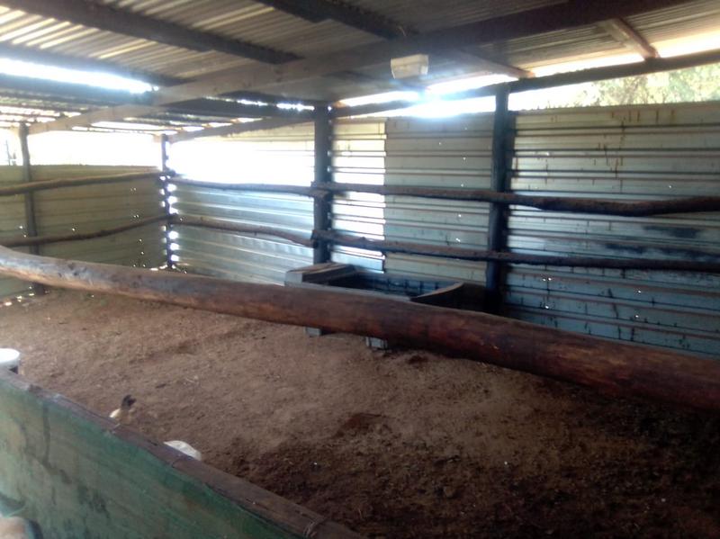 3 Bedroom Property for Sale in Hekpoort Gauteng