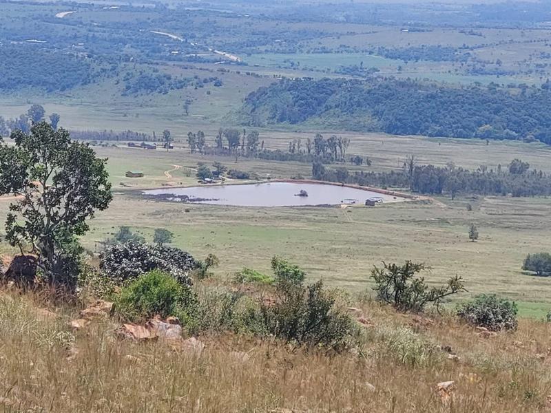 0 Bedroom Property for Sale in New Thorndale Gauteng