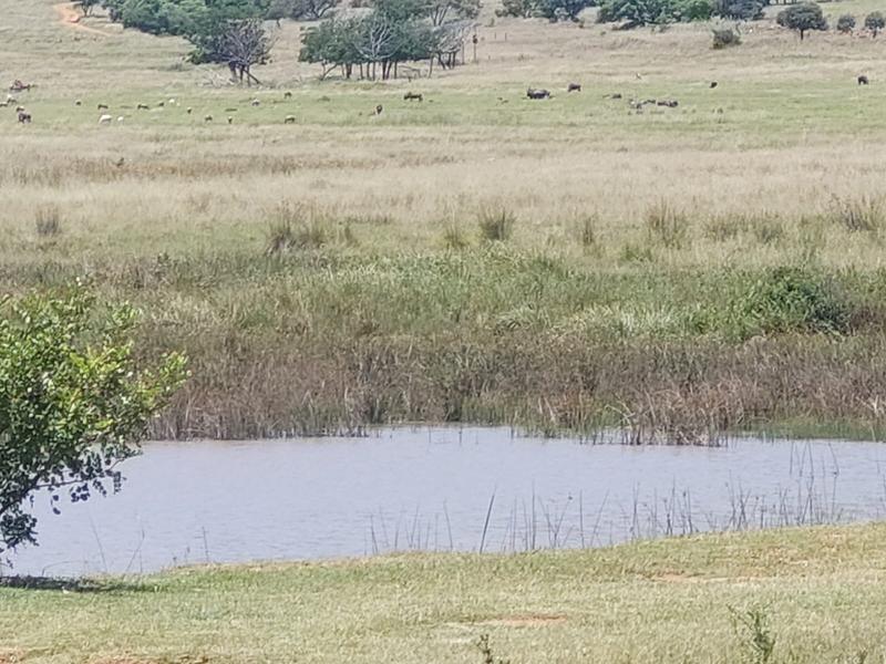 0 Bedroom Property for Sale in New Thorndale Gauteng