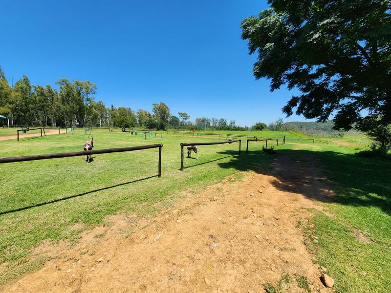 0 Bedroom Property for Sale in New Thorndale Gauteng