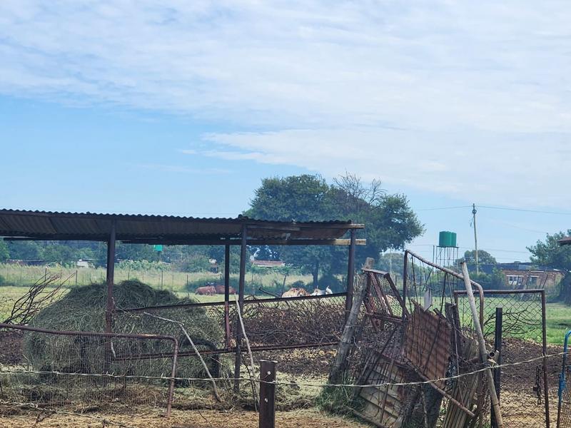 3 Bedroom Property for Sale in Middelvlei A H Gauteng