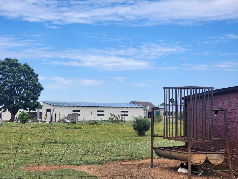 3 Bedroom Property for Sale in Middelvlei A H Gauteng