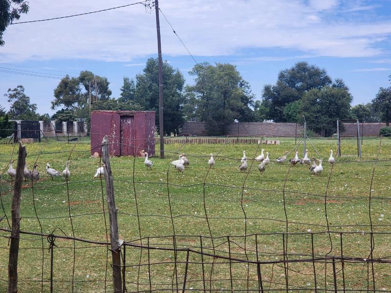 3 Bedroom Property for Sale in Middelvlei A H Gauteng