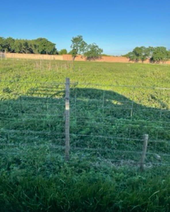 3 Bedroom Property for Sale in Onderstepoort Gauteng