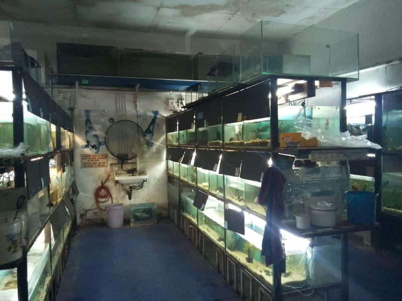 Commercial Property for Sale in Vanderbijlpark Gauteng