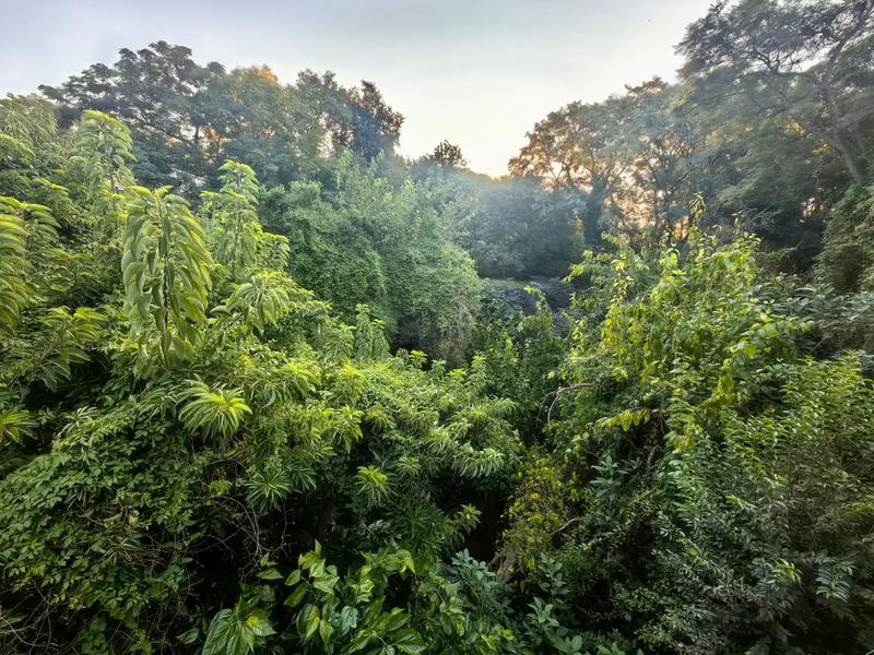 5 Bedroom Property for Sale in Waterkloof A H Gauteng