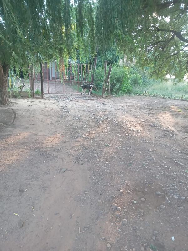 3 Bedroom Property for Sale in Louisrus Gauteng