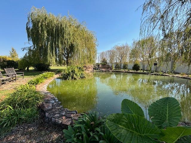 6 Bedroom Property for Sale in Blue Saddle Ranches Gauteng