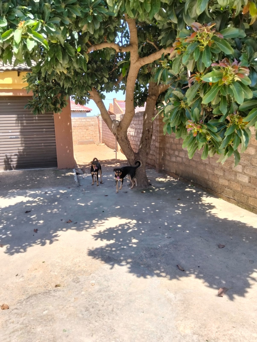 3 Bedroom Property for Sale in Soshanguve P Gauteng