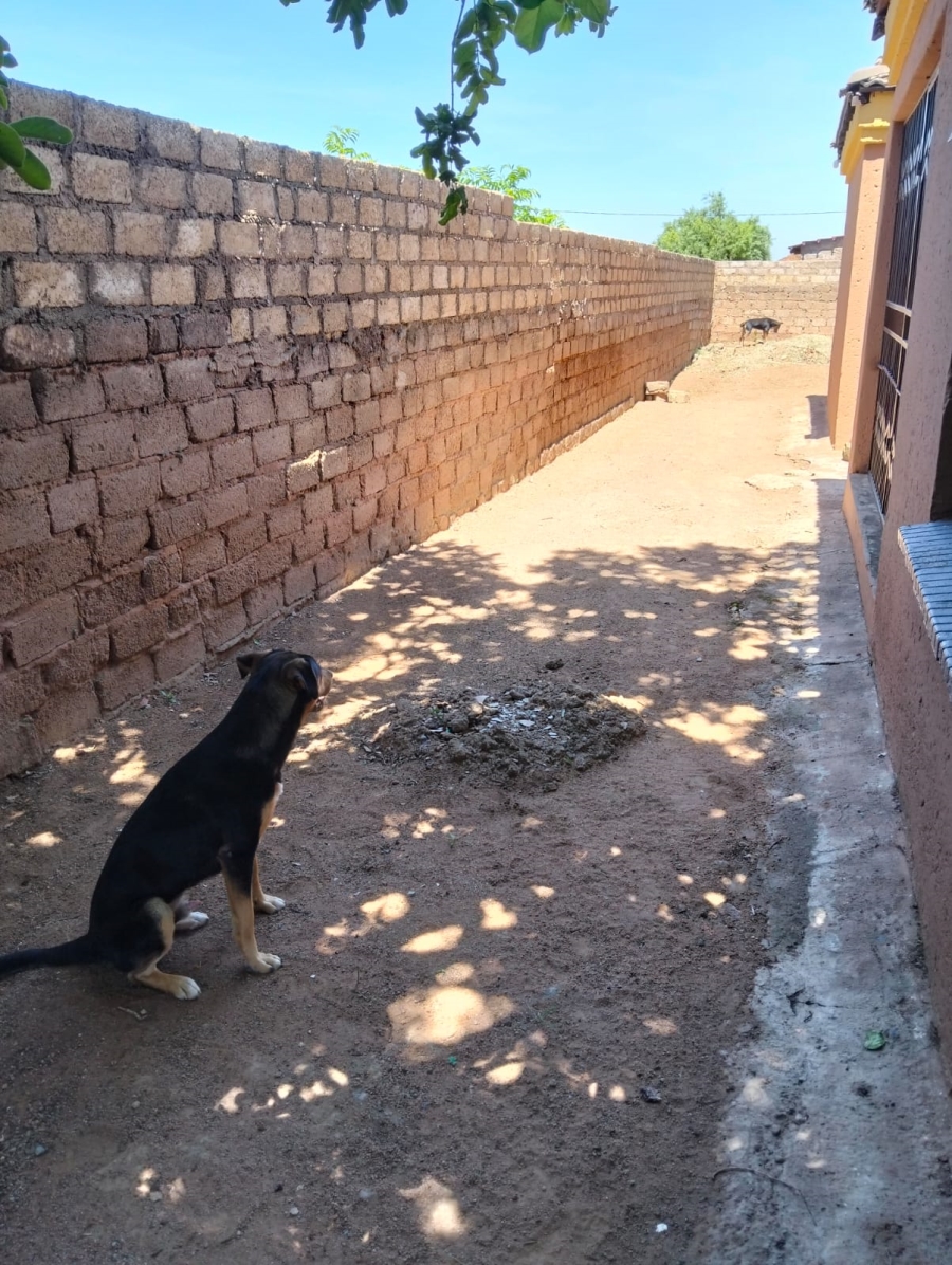 3 Bedroom Property for Sale in Soshanguve P Gauteng