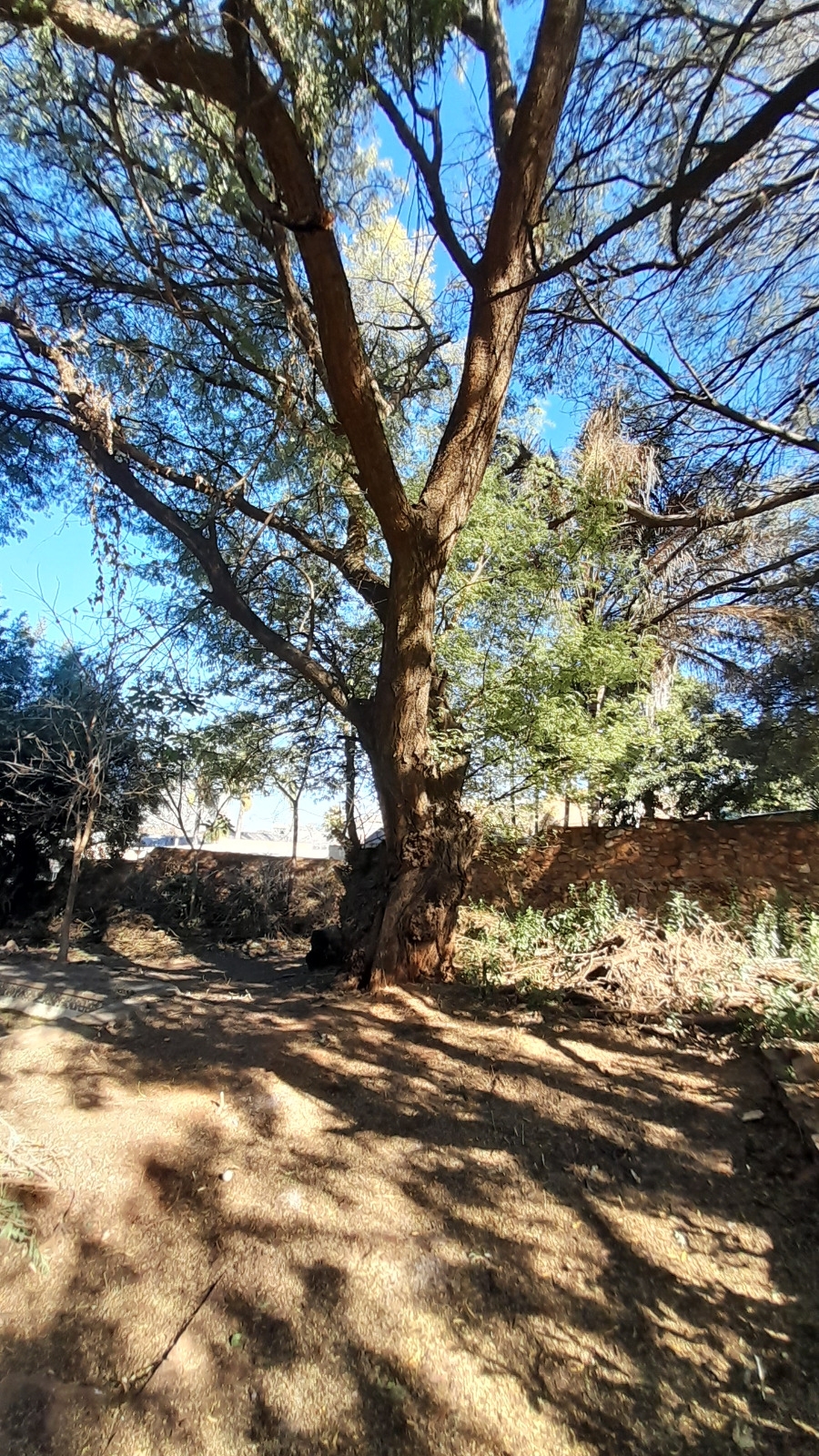 To Let 4 Bedroom Property for Rent in Mountain View Gauteng