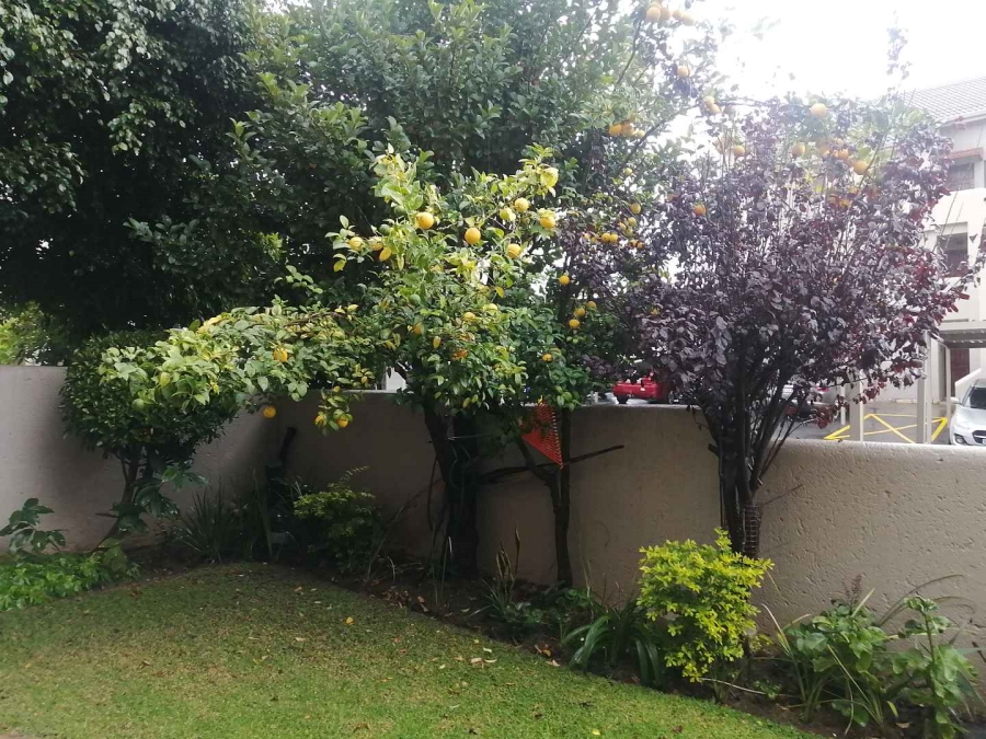 To Let 3 Bedroom Property for Rent in Morningside Gauteng