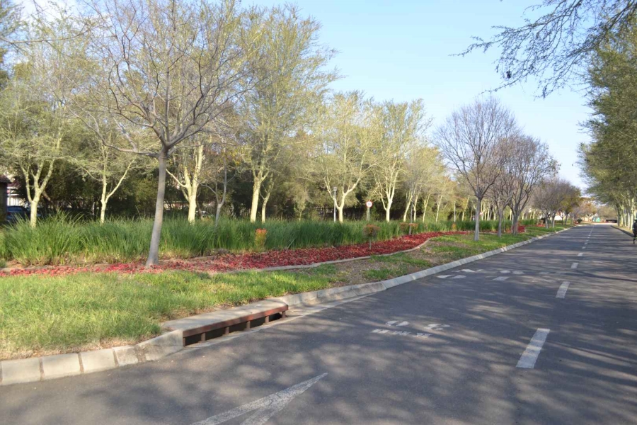 To Let 3 Bedroom Property for Rent in Hazeldean Gauteng
