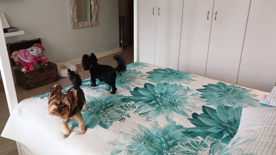 To Let 2 Bedroom Property for Rent in Morningside Gauteng