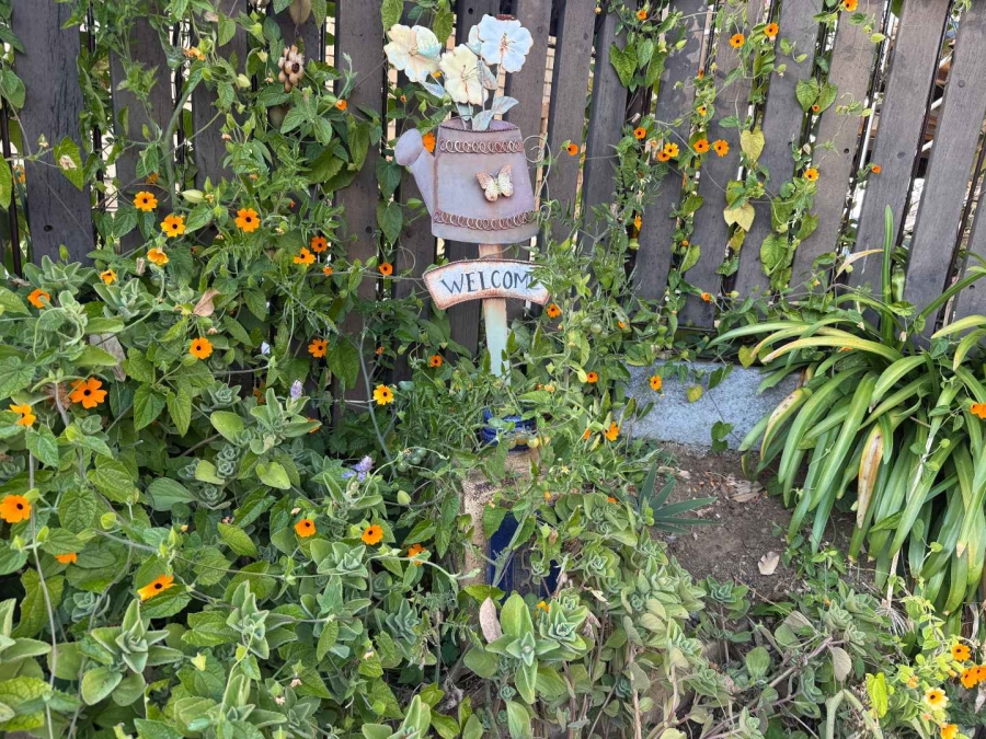 To Let 3 Bedroom Property for Rent in Strubensvallei Gauteng