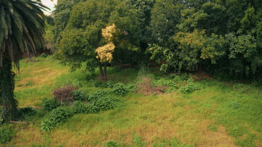 0 Bedroom Property for Sale in Ashlea Gardens Gauteng