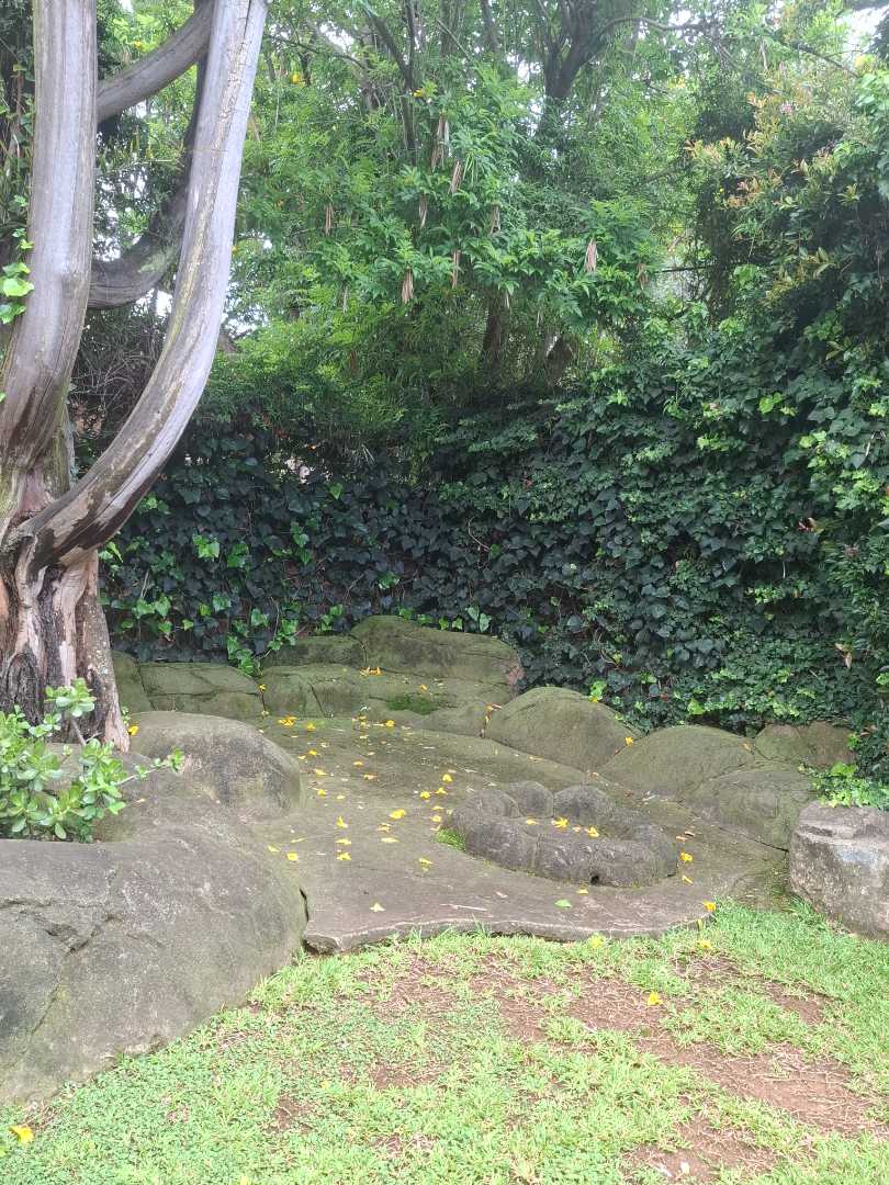 3 Bedroom Property for Sale in Glenvista Gauteng