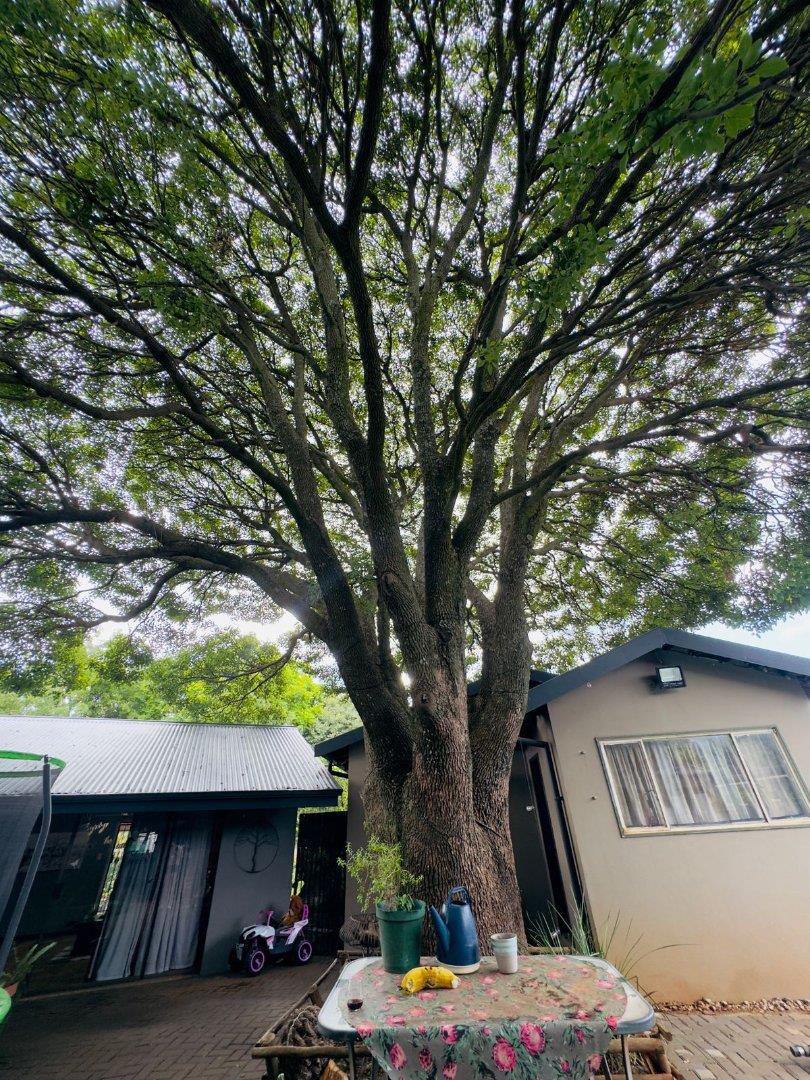 4 Bedroom Property for Sale in Valhalla Gauteng