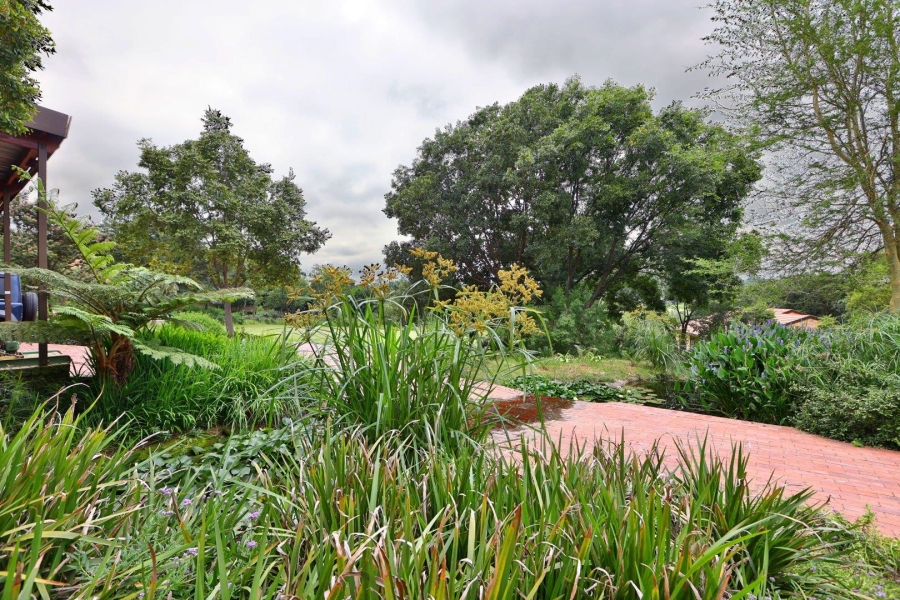 To Let 5 Bedroom Property for Rent in Buccleuch Gauteng