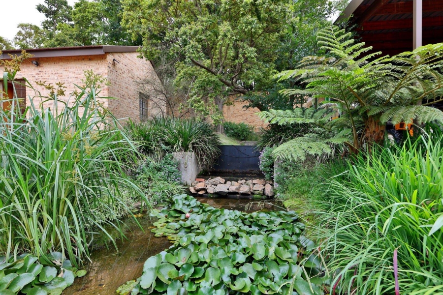 To Let 5 Bedroom Property for Rent in Buccleuch Gauteng