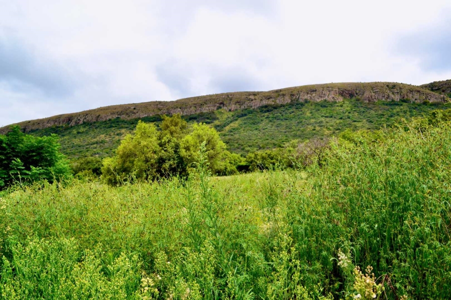 0 Bedroom Property for Sale in Kameeldrift West Gauteng