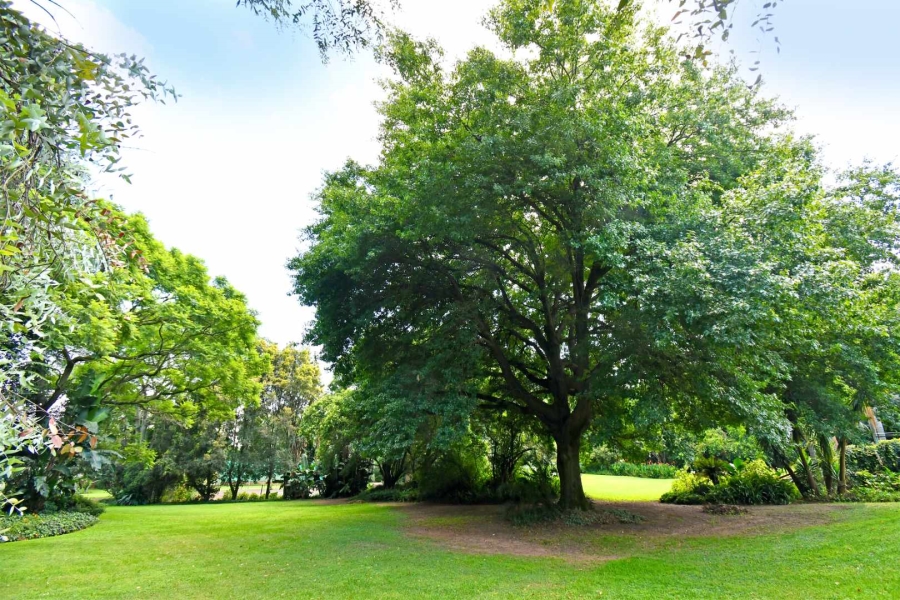 To Let 5 Bedroom Property for Rent in Bryanston Gauteng