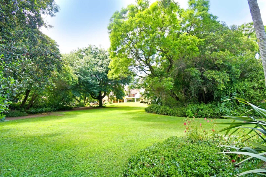 To Let 5 Bedroom Property for Rent in Bryanston Gauteng