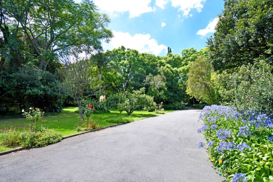 To Let 5 Bedroom Property for Rent in Bryanston Gauteng