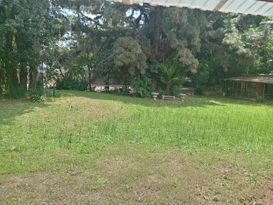 To Let 1 Bedroom Property for Rent in Houghton Gauteng