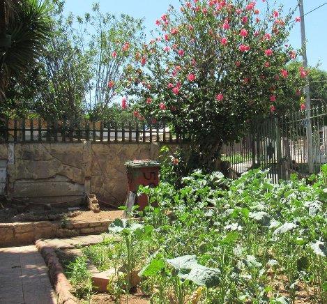 3 Bedroom Property for Sale in Rosettenville Gauteng