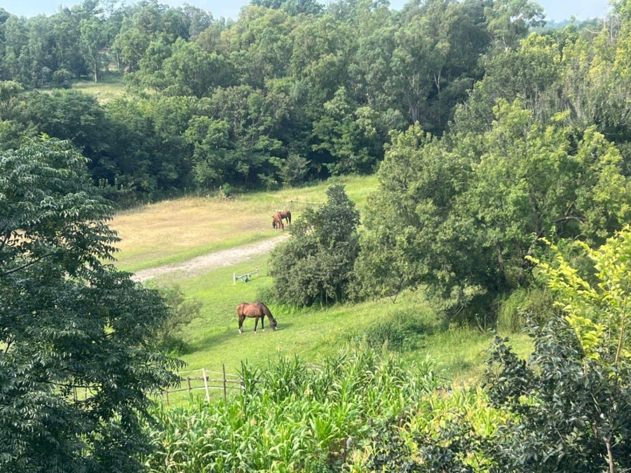 To Let 2 Bedroom Property for Rent in Kyalami Hills Gauteng