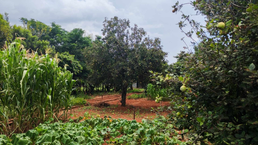 4 Bedroom Property for Sale in Tarlton Gauteng