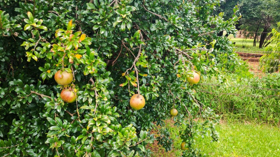 4 Bedroom Property for Sale in Tarlton Gauteng