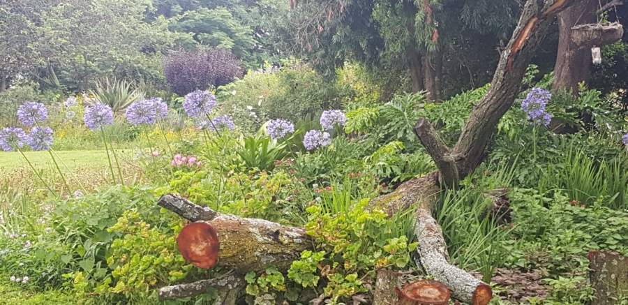 11 Bedroom Property for Sale in Mnandi A H Gauteng