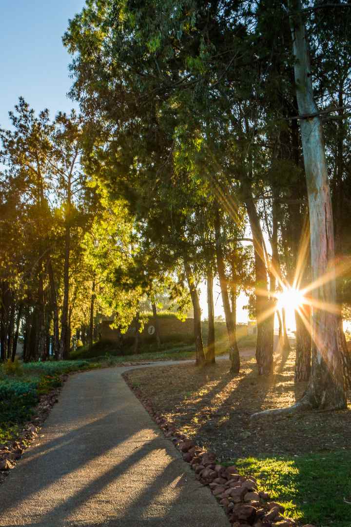 4 Bedroom Property for Sale in Eye of Africa Gauteng