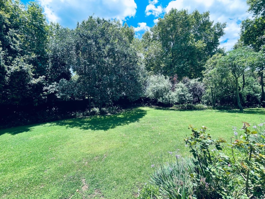 To Let 4 Bedroom Property for Rent in Parkview Gauteng