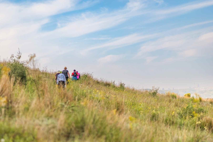 0 Bedroom Property for Sale in Eye of Africa Gauteng