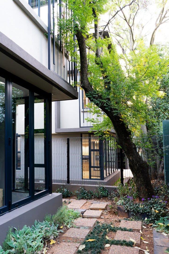 To Let 3 Bedroom Property for Rent in Morningside Manor Gauteng