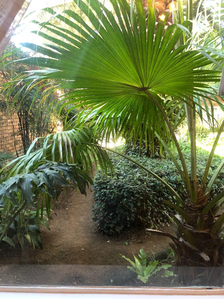 To Let 2 Bedroom Property for Rent in Atholl Gauteng