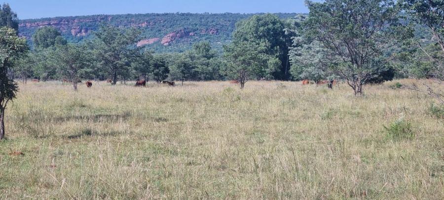 0 Bedroom Property for Sale in De Tweedespruit Gauteng