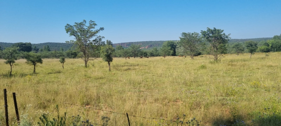 0 Bedroom Property for Sale in De Tweedespruit Gauteng