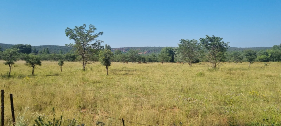 0 Bedroom Property for Sale in De Tweedespruit Gauteng