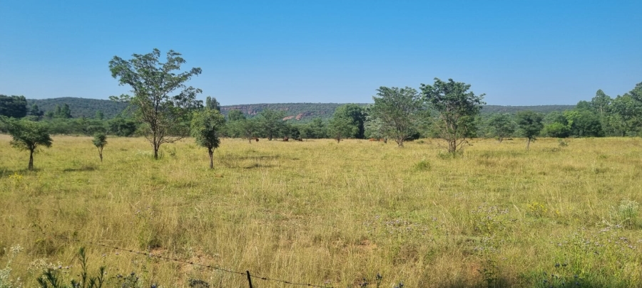 0 Bedroom Property for Sale in De Tweedespruit Gauteng